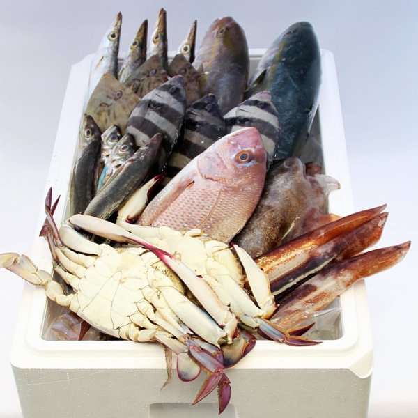 画像1: 氷見の旬のお魚　特選セット (1)
